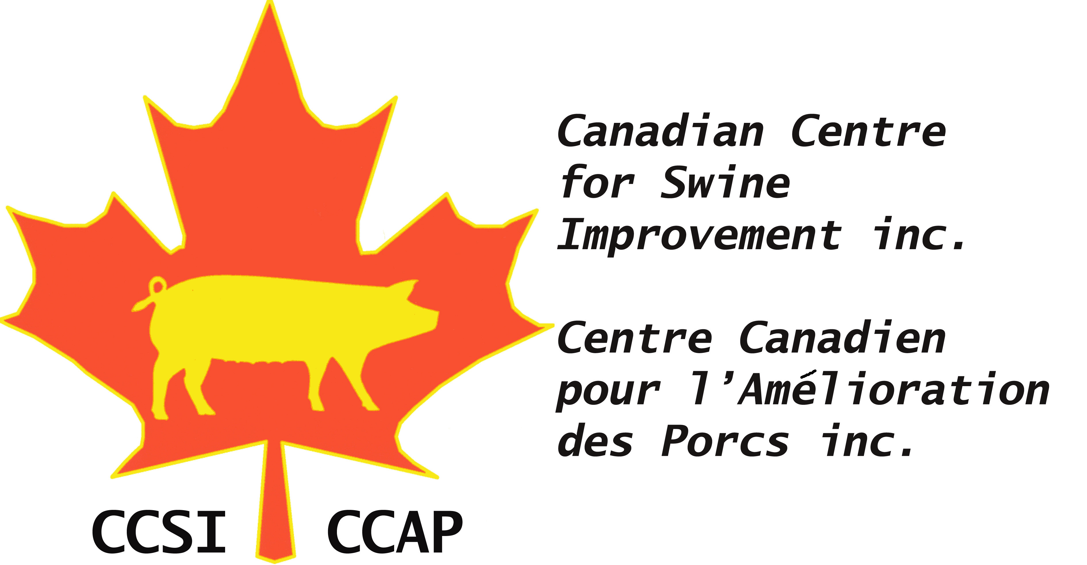 ccsi3_2_.png ccsi3_2_.png